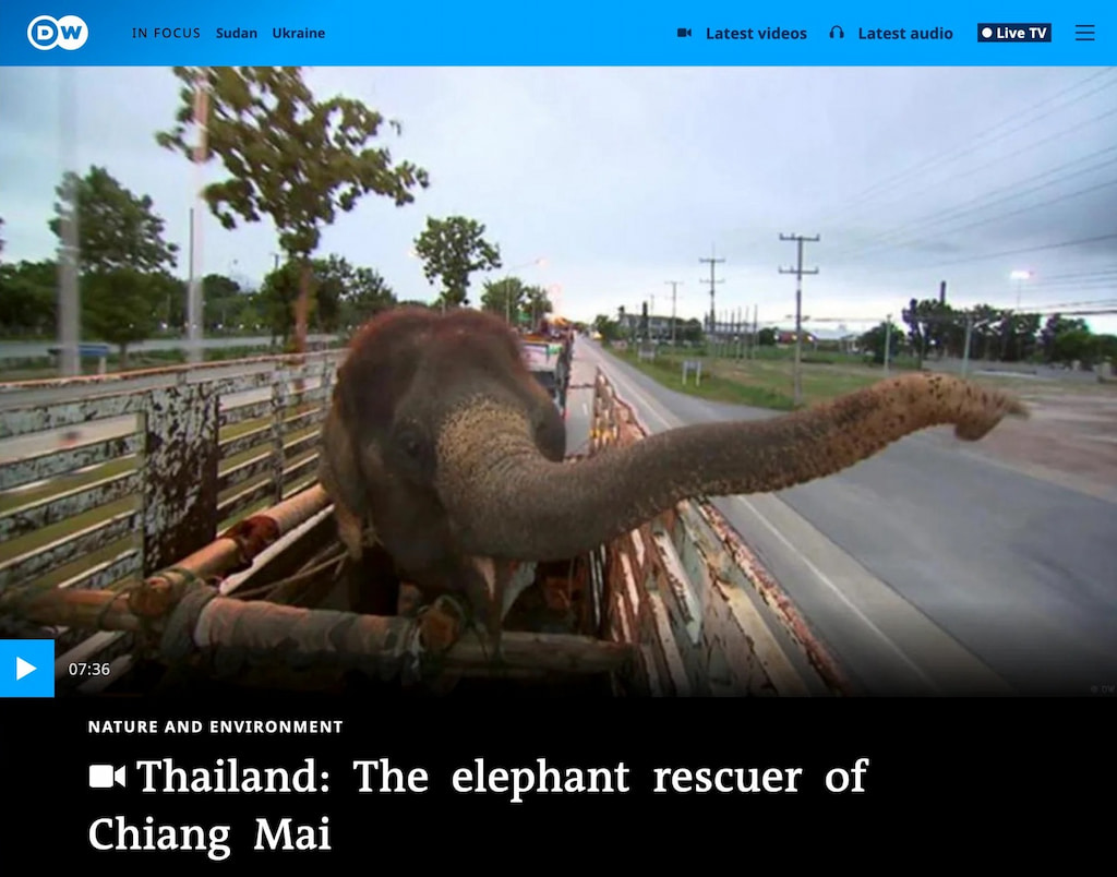 DW Made for Minds – Thailand: The elephant rescuer of Chiang Mai